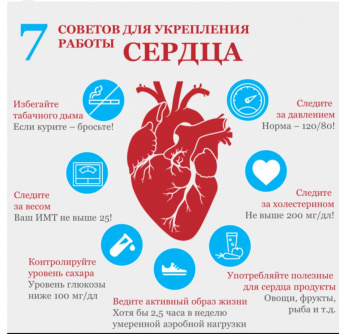Неделя профилактики сердечно-сосудистых заболеваний   (в честь Международного дня здорового сердца 11 августа)